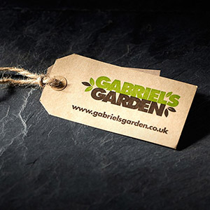 Gabriel's Garden swing ticket